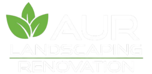 aur logo in black background removebg preview