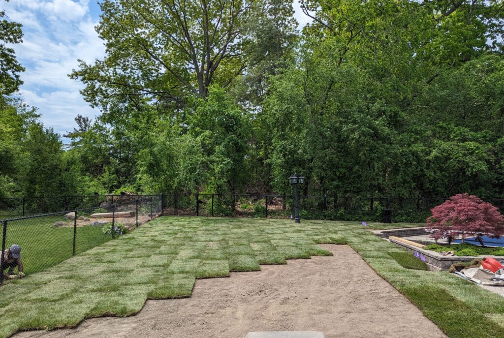 pxl 20240521 163410623 aur